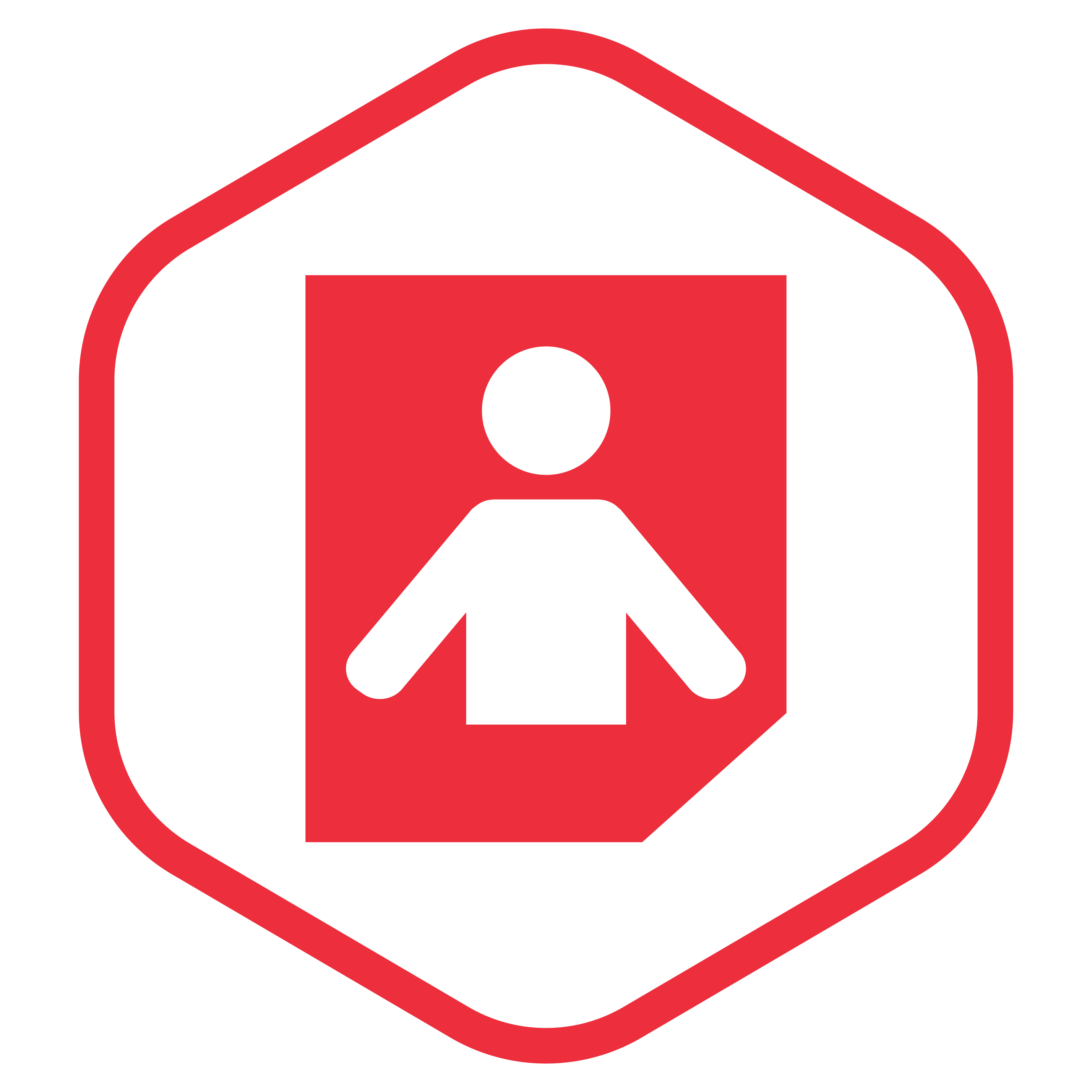 icon